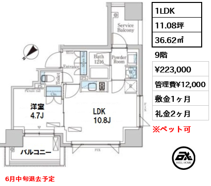 間取り5 1LDK 36.62㎡  賃料¥223,000 管理費¥12,000 敷金1ヶ月 礼金2ヶ月 6月中旬退去予定