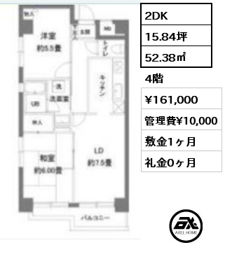 間取り5 2DK 52.38㎡ 4階 賃料¥161,000 管理費¥10,000 敷金1ヶ月 礼金0ヶ月 1月下旬入居予定