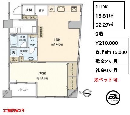 間取り5 1LDK 41.93㎡ 5階 賃料¥165,000 管理費¥20,000 敷金1ヶ月 礼金1ヶ月 定期借家3年　室内フルリノベーション