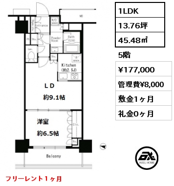 間取り5 1LDK 45.48㎡ 5階 賃料¥177,000 管理費¥8,000 敷金1ヶ月 礼金0ヶ月 フリーレント１ヶ月