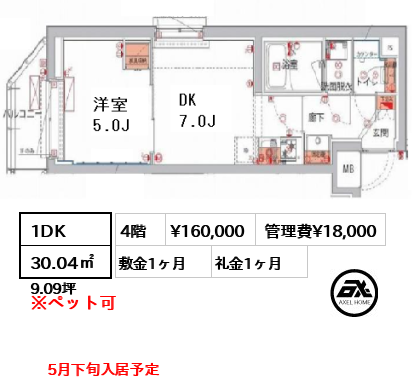 間取り5 1DK 30.04㎡  賃料¥160,000 管理費¥18,000 敷金1ヶ月 礼金1ヶ月 5月下旬入居予定