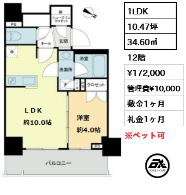 間取り5 1LDK 34.60㎡  賃料¥172,000 管理費¥10,000 敷金1ヶ月 礼金1ヶ月 　