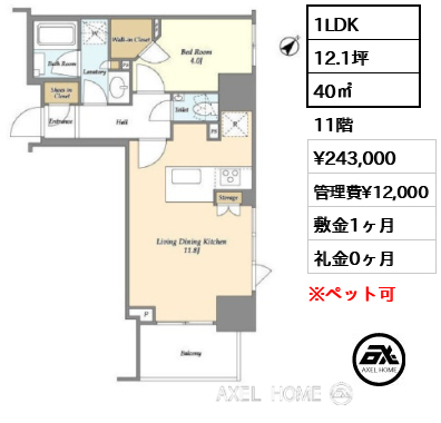 間取り5 1LDK 40㎡  賃料¥243,000 管理費¥12,000 敷金1ヶ月 礼金0ヶ月