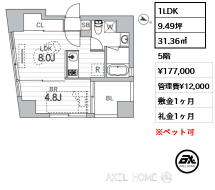 1LDK 31.36㎡  賃料¥177,000 管理費¥12,000 敷金1ヶ月 礼金1ヶ月