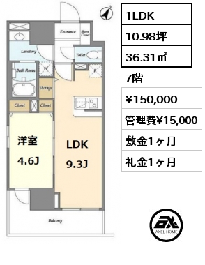 間取り5 1LDK 36.31㎡ 8階 賃料¥146,000 管理費¥15,000 敷金1ヶ月 礼金1ヶ月 8月下旬入居予定