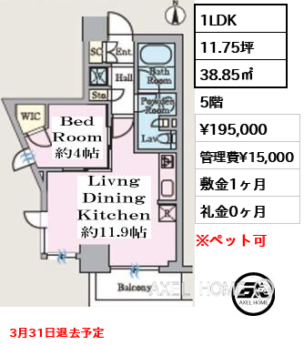 間取り5 1LDK 38.85㎡  賃料¥195,000 管理費¥15,000 敷金1ヶ月 礼金0ヶ月 3月31日退去予定