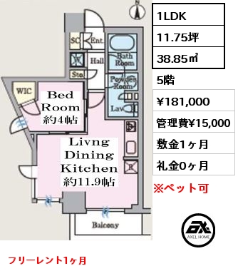 間取り5 1LDK 38.85㎡ 5階 賃料¥181,000 管理費¥15,000 敷金1ヶ月 礼金1ヶ月 フリーレント1ヶ月　