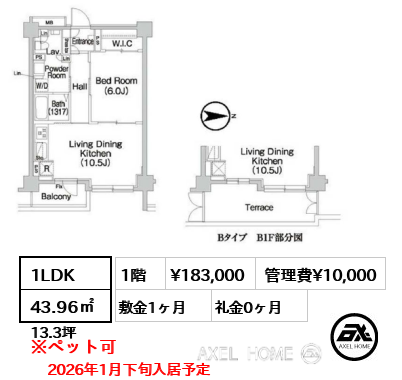 間取り5 1LDK 43.96㎡  賃料¥183,000 管理費¥10,000 敷金1ヶ月 礼金0ヶ月 2026年1月下旬入居予定