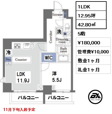 間取り5 1LDK 42.80㎡ 5階 賃料¥180,000 管理費¥10,000 敷金1ヶ月 礼金1ヶ月 11月下旬入居予定