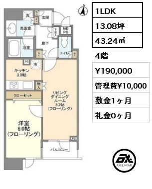 間取り5 1LDK 43.24㎡ 4階 賃料¥190,000 管理費¥10,000 敷金1ヶ月 礼金0ヶ月 　　　 