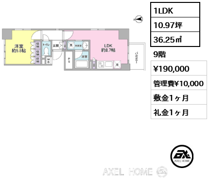 1LDK 36.25㎡  賃料¥190,000 管理費¥10,000 敷金1ヶ月 礼金1ヶ月