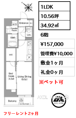 1LDK 34.92㎡  賃料¥157,000 管理費¥10,000 敷金1ヶ月 礼金0ヶ月 フリーレント2ヶ月