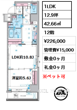 1LDK 42.66㎡  賃料¥226,000 管理費¥15,000 敷金0ヶ月 礼金0ヶ月