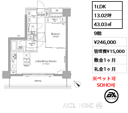 1LDK 43.03㎡  賃料¥246,000 管理費¥15,000 敷金1ヶ月 礼金1ヶ月