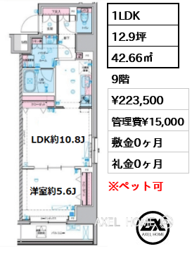 1LDK 42.66㎡  賃料¥223,500 管理費¥15,000 敷金0ヶ月 礼金0ヶ月