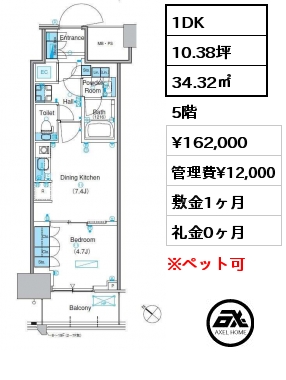 1DK 34.32㎡ 5階 賃料¥162,000 管理費¥12,000 敷金1ヶ月 礼金0ヶ月