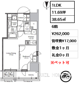 1LDK 38.65㎡  賃料¥262,000 管理費¥17,000 敷金1ヶ月 礼金0ヶ月