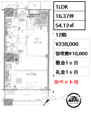 1LDK 54.12㎡  賃料¥238,000 管理費¥10,000 敷金1ヶ月 礼金1ヶ月