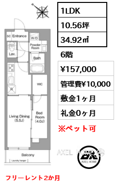 1LDK 34.92㎡  賃料¥157,000 管理費¥10,000 敷金1ヶ月 礼金0ヶ月 フリーレント2か月
