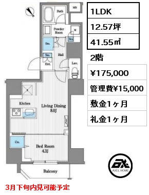 間取り6 1LDK 41.55㎡ 2階 賃料¥175,000 管理費¥15,000 敷金1ヶ月 礼金1ヶ月 3月下旬内見可能予定