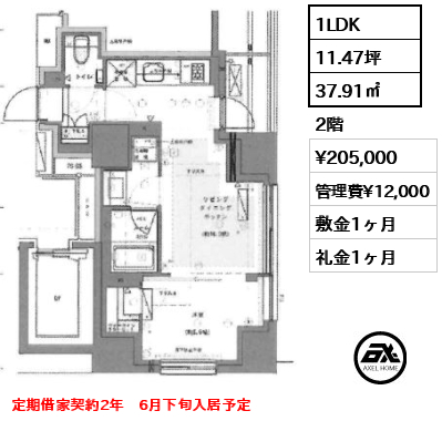 間取り6 1LDK 37.91㎡  賃料¥205,000 管理費¥12,000 敷金1ヶ月 礼金1ヶ月 定期借家契約2年　6月下旬入居予定