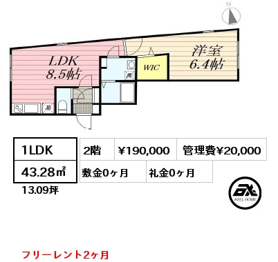 間取り6 1LDK 43.28㎡ 2階 賃料¥190,000 管理費¥20,000 敷金0ヶ月 礼金0ヶ月 フリーレント3ヶ月　　　　　