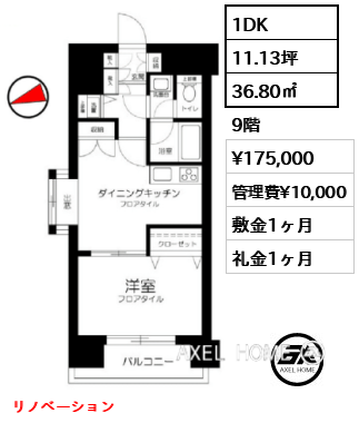 1DK 36.80㎡  賃料¥175,000 管理費¥10,000 敷金1ヶ月 礼金1ヶ月 リノベーション　