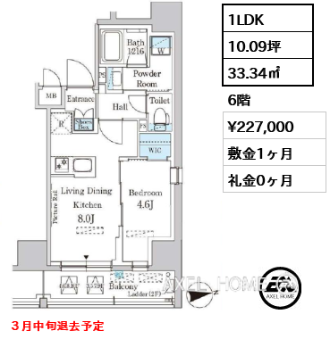 1LDK 33.34㎡  賃料¥227,000 敷金1ヶ月 礼金0ヶ月 ３月中旬退去予定