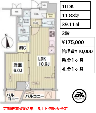 間取り6 1LDK 39.11㎡  賃料¥175,000 管理費¥10,000 敷金1ヶ月 礼金1ヶ月 定期借家契約2年　5月下旬退去予定