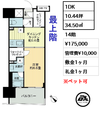 間取り6 1DK 34.50㎡  賃料¥175,000 管理費¥10,000 敷金1ヶ月 礼金1ヶ月 　