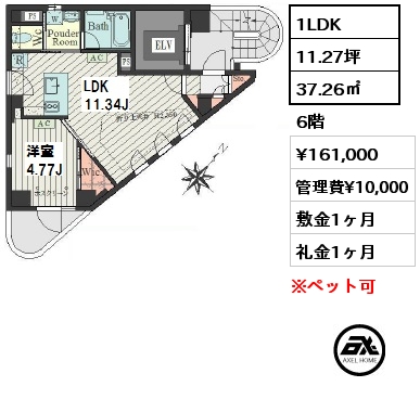 間取り6 1LDK 37.26㎡ 6階 賃料¥161,000 管理費¥10,000 敷金1ヶ月 礼金1ヶ月