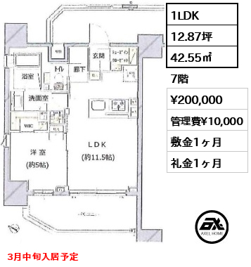 間取り6 1LDK 42.55㎡  賃料¥200,000 管理費¥10,000 敷金1ヶ月 礼金1ヶ月 3月中旬入居予定