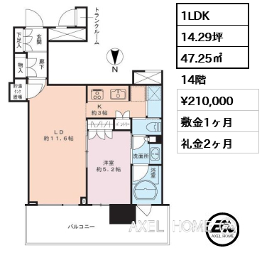 1LDK 47.25㎡  賃料¥210,000 敷金1ヶ月 礼金2ヶ月