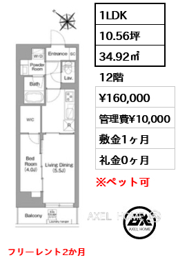 1LDK 34.92㎡  賃料¥160,000 管理費¥10,000 敷金1ヶ月 礼金0ヶ月 フリーレント2か月