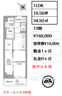 1LDK 34.92㎡  賃料¥160,000 管理費¥10,000 敷金1ヶ月 礼金0ヶ月 フリーレント2か月
