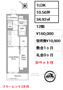 1LDK 34.92㎡  賃料¥160,000 管理費¥10,000 敷金1ヶ月 礼金0ヶ月 フリーレント2か月