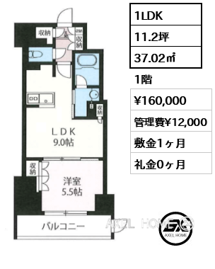 1LDK 37.02㎡  賃料¥160,000 管理費¥12,000 敷金1ヶ月 礼金0ヶ月