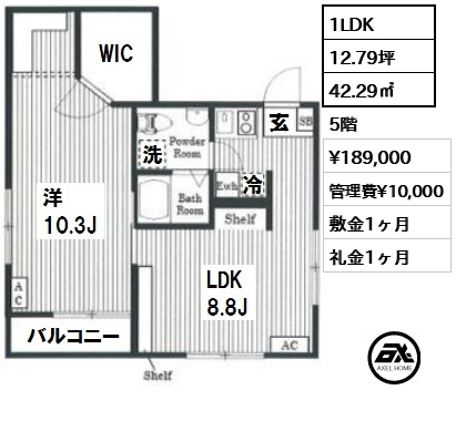 間取り7 1LDK 42.29㎡  賃料¥189,000 管理費¥10,000 敷金1ヶ月 礼金1ヶ月 　
