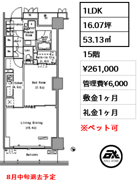 間取り7 1LDK 53.13㎡  賃料¥261,000 管理費¥6,000 敷金1ヶ月 礼金1ヶ月  8月中旬退去予定