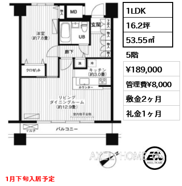 間取り7 1LDK 53.55㎡  賃料¥189,000 管理費¥8,000 敷金2ヶ月 礼金1ヶ月 1月下旬入居予定
