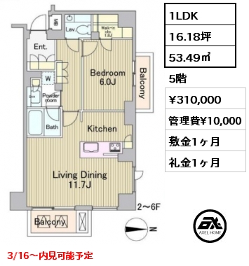 間取り7 1LDK 53.49㎡ 5階 賃料¥310,000 管理費¥10,000 敷金1ヶ月 礼金1ヶ月 3/16～内見可能予定