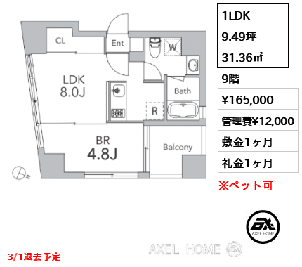 1LDK 31.36㎡  賃料¥165,000 管理費¥12,000 敷金1ヶ月 礼金1ヶ月 3/1退去予定