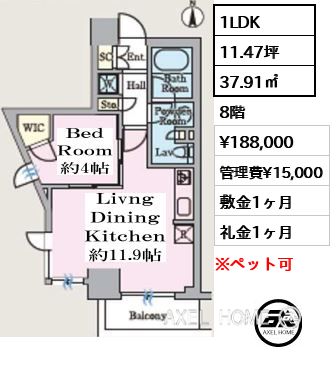 間取り7 1LDK 37.91㎡  賃料¥188,000 管理費¥15,000 敷金1ヶ月 礼金1ヶ月