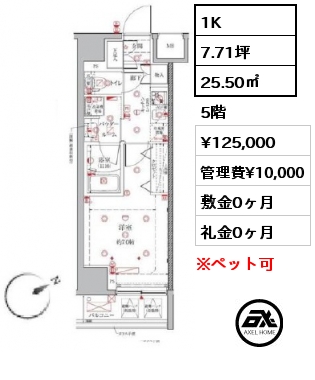 間取り7 1K 25.50㎡ 5階 賃料¥125,000 管理費¥10,000 敷金0ヶ月 礼金0ヶ月