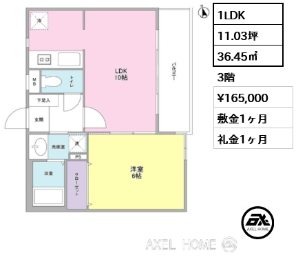 間取り7 1LDK 36.45㎡  賃料¥165,000 敷金1ヶ月 礼金1ヶ月