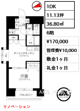 1DK 36.80㎡  賃料¥170,000 管理費¥10,000 敷金1ヶ月 礼金1ヶ月 リノベーション