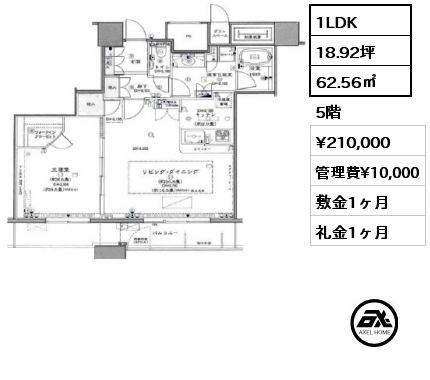 間取り7 1LDK 62.56㎡ 5階 賃料¥210,000 管理費¥10,000 敷金1ヶ月 礼金1ヶ月
