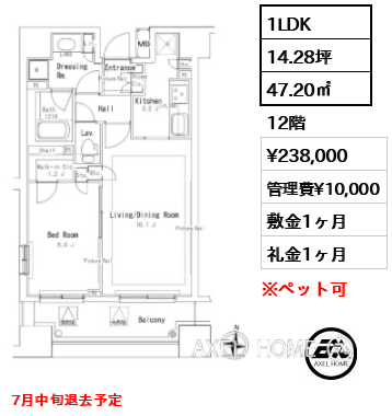1LDK 47.20㎡  賃料¥238,000 管理費¥10,000 敷金1ヶ月 礼金1ヶ月 7月中旬退去予定