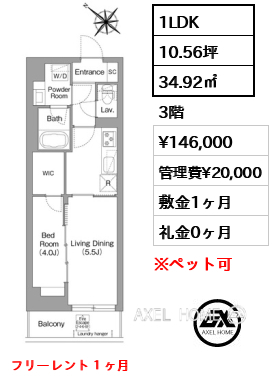 1LDK 34.92㎡  賃料¥146,000 管理費¥20,000 敷金1ヶ月 礼金0ヶ月 フリーレント１ヶ月