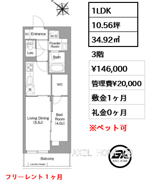 1LDK 34.92㎡  賃料¥146,000 管理費¥20,000 敷金1ヶ月 礼金0ヶ月 フリーレント１ヶ月